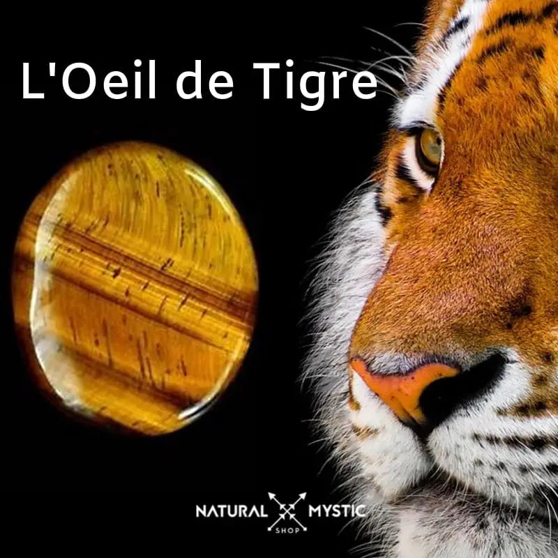 La Pierre d'Œil de Tigre  Pouvoirs, signification et propriétés – Natural  Mystic Orgonites Artisanales
